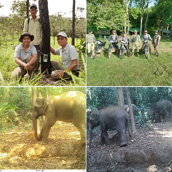 Ret Thaung and research on Asian Elephant