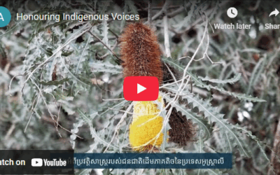 Honouring Indigenous Voices
