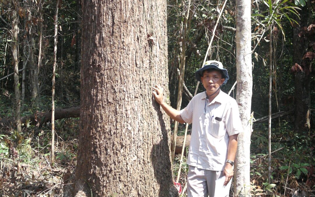 Rooting Forest Restoration in Science: Dr So Thea’s Contribution to Cambodia’s Biodiversity